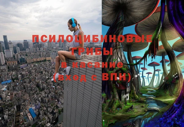 синтетический гашиш Медвежьегорск