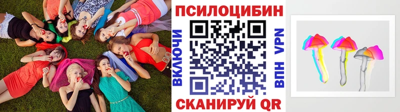 Галлюциногенные грибы Cubensis  Юрьев-Польский 